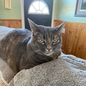 Meet your Posher, Marcy